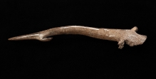 Harpun z poroża sarny wydobyty z Odry w okolicach Polic, młodsza epoka kamienia, 25,9 cm, fot. G. Solecki/A. Piętak